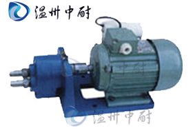 S型微型齒輪輸油泵